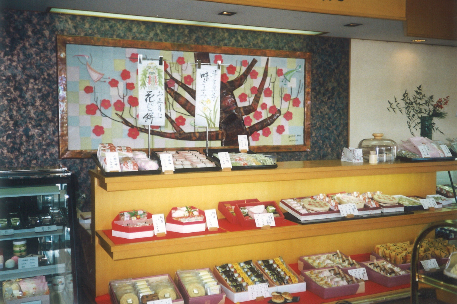発展期の写真
